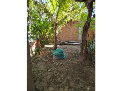 Casa en venta en Limpio, Isla Aveiro 3