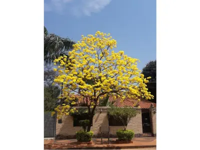Casa en venta en Luque, Barrio La Amistad 3