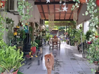 Casa en venta en Mariano Roque Alonso, La Asunción 3