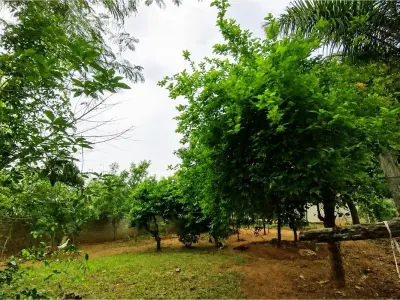 House for sale in Valle Karé, Itauguá, with 6 bedrooms 3