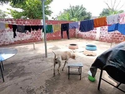 Casa en venta en Vista Alegre, Ñemby 3