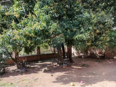 Casa à venda em Zeballos Cué, Asunción 3