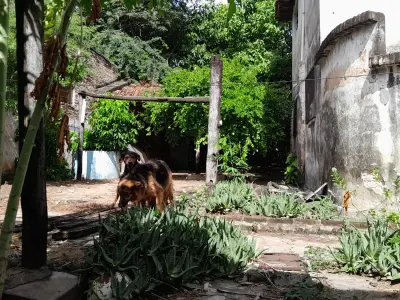 Casa en venta frente al Jardín Botánico en Santísima Trinidad, Asunción 4