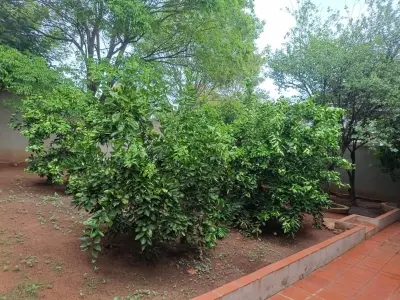 Brand-new Country House for Sale in Aguaity, Eusebio Ayala 3