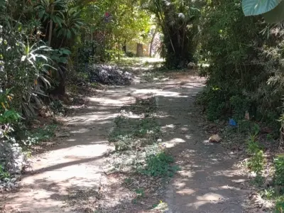 Chácara de 5.300 m² em Villa del Agrónomo, San Lorenzo 2