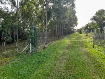 Casa de campo em 3,5 hectares, Trinidad 3