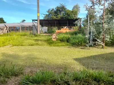 Casa de campo em 3,5 hectares, Trinidad 4