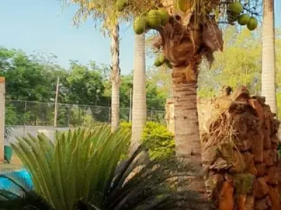 Chácara à venda em Areguá — 3,4 ha com piscinas e arroio 2