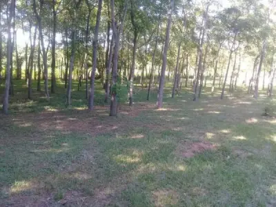 Chácara à venda em Areguá — 3,4 ha com piscinas e arroio 4