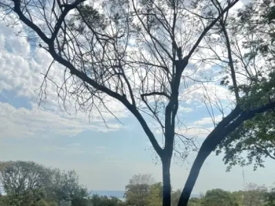 Casa quinta en venta en Estanzuela, Itauguá | 7.780 m² 3