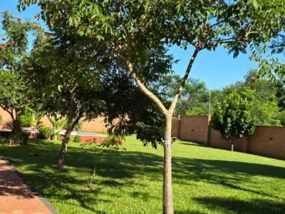 Casa quinta en venta en Isla Alta, Nueva Colombia 4