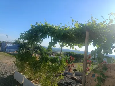 Country house for sale in Kokue Guazú, Emboscada 4