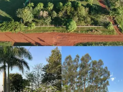 Casa de campo à venda em Santa Rosa del Monday, Alto Paraná 3