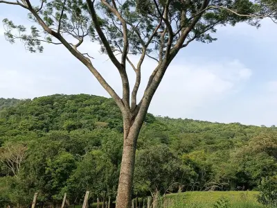 Casa quinta en venta en Villarrica al pie del cerro Akatí 2