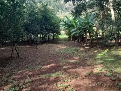Casa quinta en venta en Villarrica al pie del cerro Akatí 4