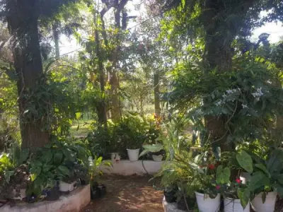 Casa de campo à venda em Yaguarón, Paraguarí 4