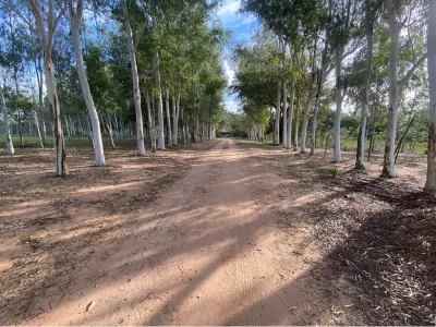 House and 28-hectare land for sale in Itá 2