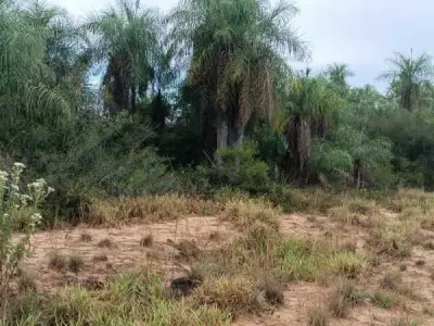 Set of 4 Plots for Sale in Costa Pucú, Caacupé 2