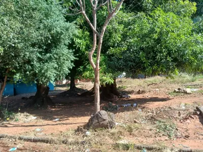Quatro terrenos contíguos à venda no bairro Naranjaty, San Antonio 2