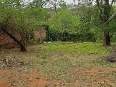 Four Plots for Sale in Villa Bonita, Villa Elisa 2