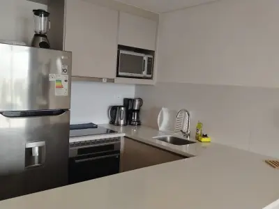 Apartamento 1 quarto para alugar em Recoleta 2