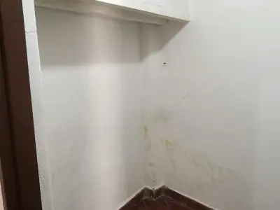 1-bedroom apartment for rent in San Vicente, Asunción 4