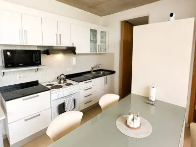 Apartamento de 1 Quarto em Recoleta, Assunção 4