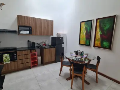 Apartamento para alugar com 1 quarto em Las Mercedes, Assunção 4