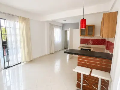 Apartamento de 1 Quarto para Alugar em Sajonia 4