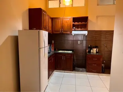 Apartamento para alugar em Buena Vista, Encarnación 3