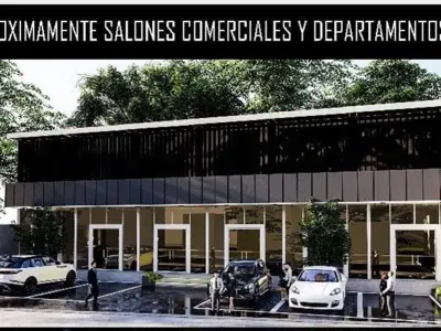 Apartamento para alugar em Lambaré, San Isidro 3