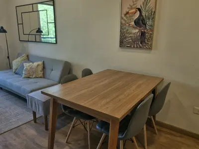 Apartment for rent in Recoleta, 2 bedrooms furnished 3