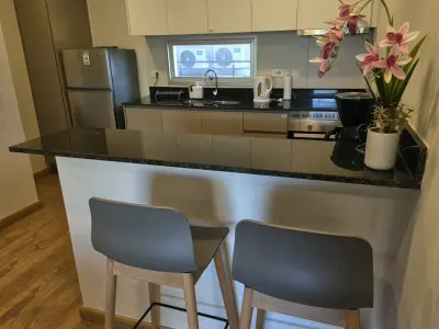 Apartment for rent in Recoleta, 2 bedrooms furnished 4