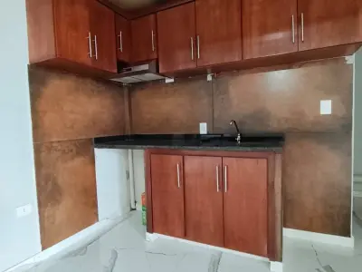 Loft-style apartment for rent, brand new, in Barrio Santo Domingo, Lambaré 3