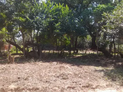 Dos terrenos contiguos en Barrio Santa Rosa de Lima, Ayolas 2