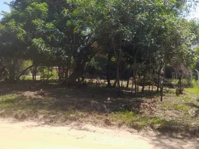 Dos terrenos contiguos en Barrio Santa Rosa de Lima, Ayolas 3