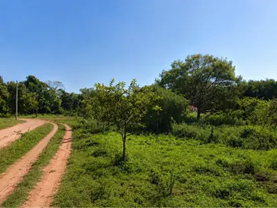 Dois terrenos à venda em esquina dupla em Luque 3