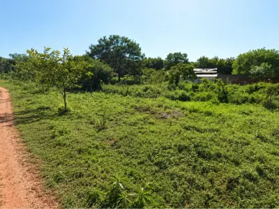 Dois terrenos à venda em esquina dupla em Luque 4