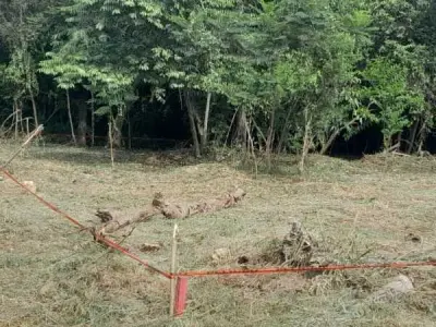 Two Plots for Sale in Ita Ybu, San Bernardino 3
