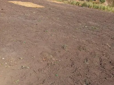Two Lots for Sale in Minga Guazú – 720 sqm Total 2