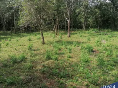 Dos terrenos juntos en venta en Loma Grande, Cordillera 5