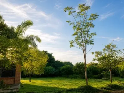 Two Adjacent Lots for Sale in Luque - Ycua Dure 3