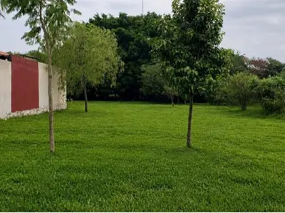 Two Adjacent Lots for Sale in Luque - Ycua Dure 4