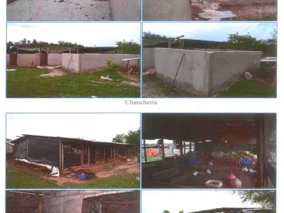 Propriedade rural titulada em José Domingo Ocampos, Caaguazú 3