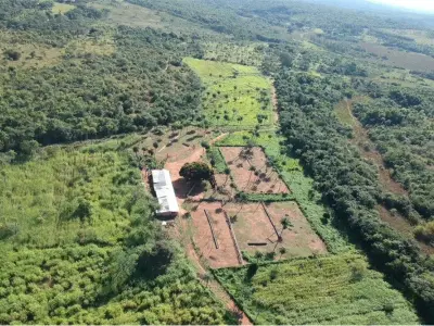 Equipped agricultural estate for rent in Caacupé 3