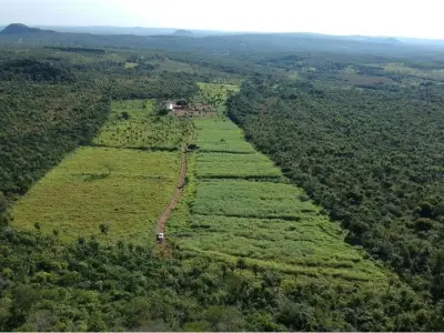 Equipped agricultural estate for rent in Caacupé 4