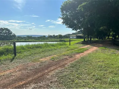 Estancia de 100 hectáreas en venta en Ybycuí 3