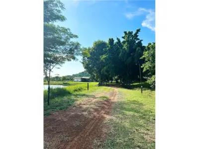 Estancia de 100 hectáreas en venta en Ybycuí 4