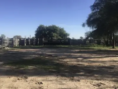 Estancia de 2.000 hectáreas en venta en el Chaco Paraguayo 4