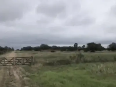 Estancia de 2.000 hectáreas en venta en el Chaco Paraguayo 5